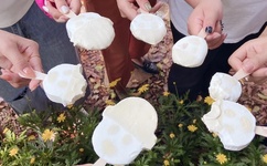 成事在人电影免费观看